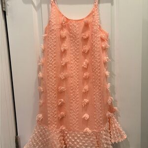 Pink Blush &merci Maternity Dress